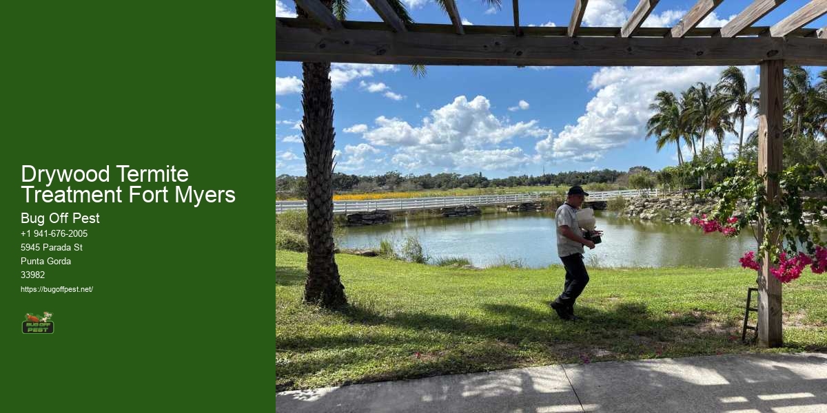 Drywood Termite Treatment Fort Myers