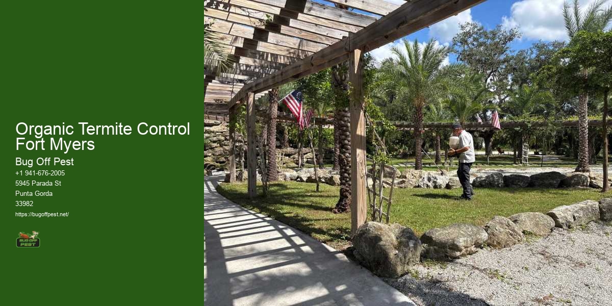Organic Termite Control Fort Myers
