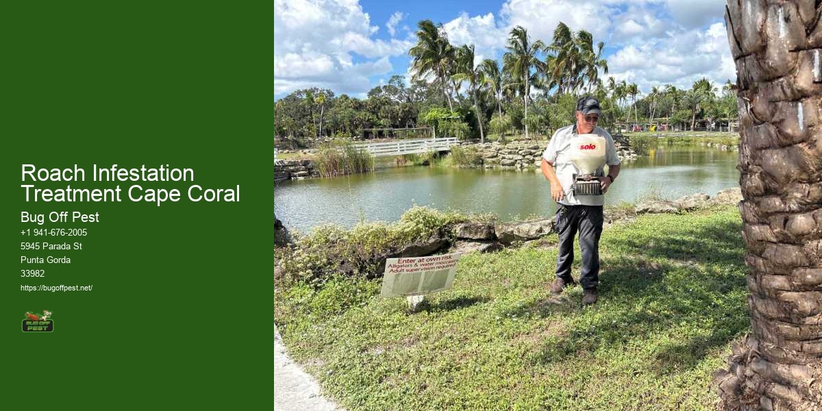 Roach Infestation Treatment Cape Coral