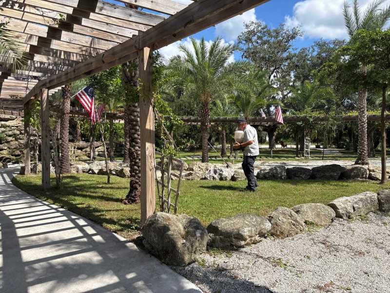 Outdoor Spider Control Fort Myers