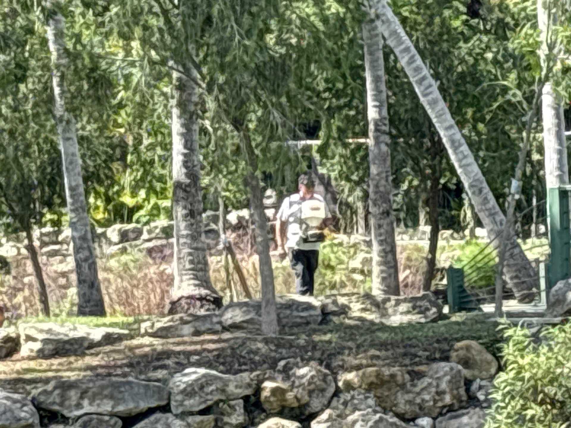 Wildlife Control Fort Myers