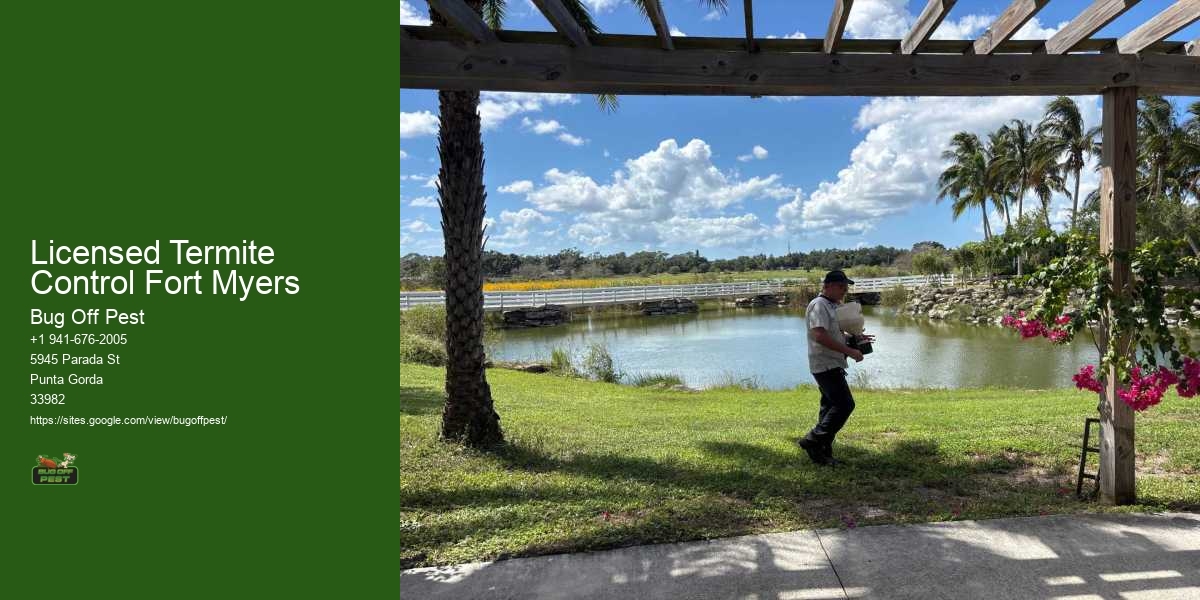 Licensed Termite Control Fort Myers