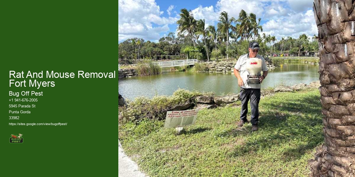 Rat And Mouse Removal Fort Myers