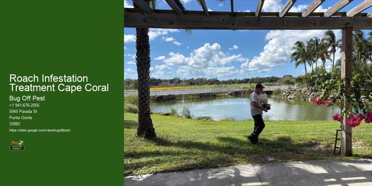 Roach Infestation Treatment Cape Coral