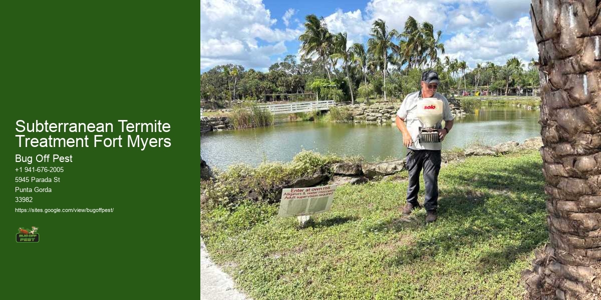 Subterranean Termite Treatment Fort Myers