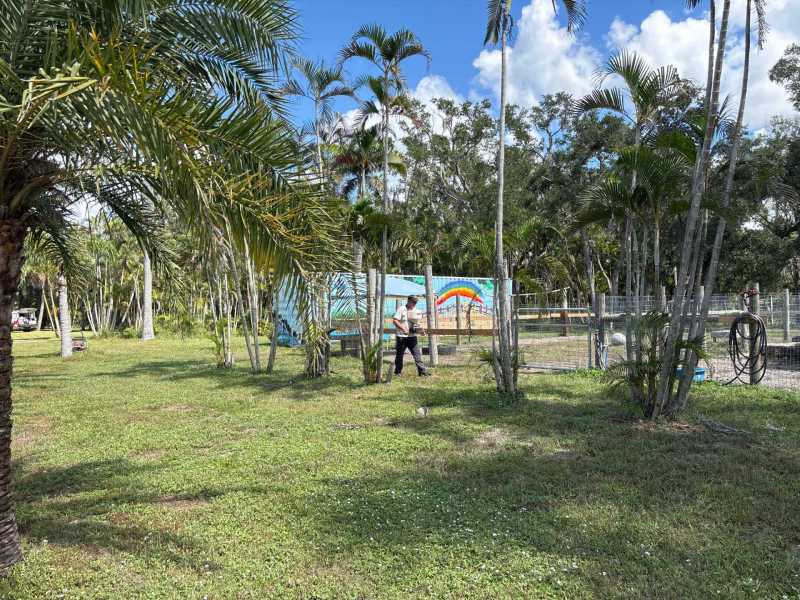 Eco-friendly rodent removal North Port