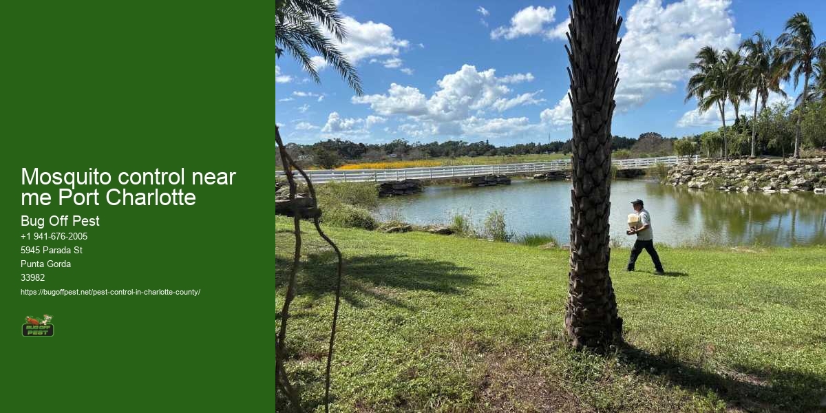 Mosquito control near me Port Charlotte