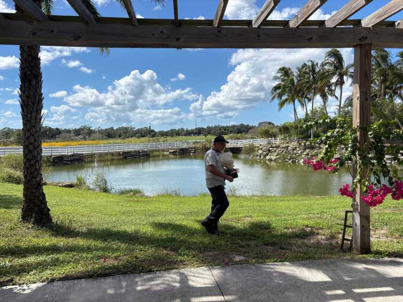 Termite treatment options Port Charlotte