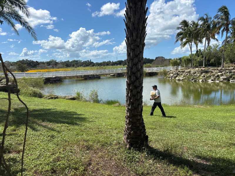 Organic termite treatment Port Charlotte