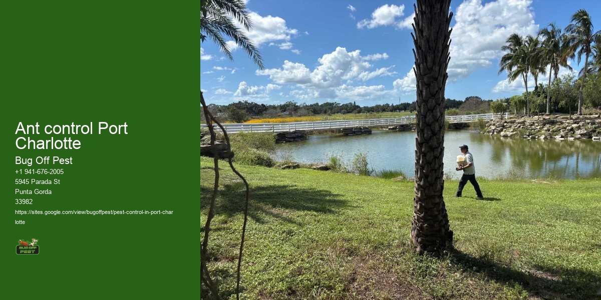Ant control Port Charlotte