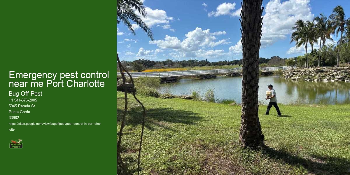 Emergency pest control near me Port Charlotte