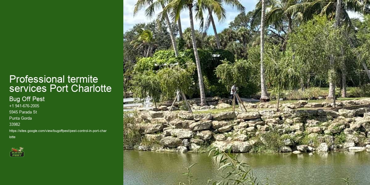 Professional termite services Port Charlotte