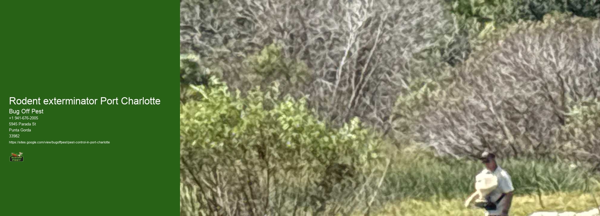 Rodent exterminator Port Charlotte