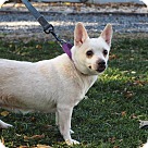 Nena - Whitehall, PA