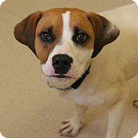 Amazon fax verification