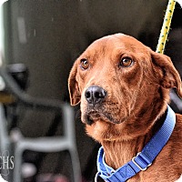 Humane Society of Putnam County