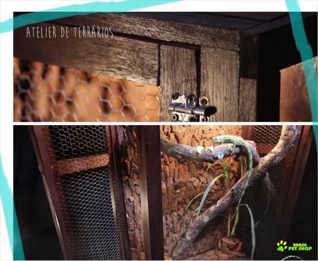 Lindo Terrário / Viveiro Rústico Para Répteis