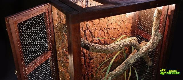 Lindo Terrário / Viveiro Rústico Para Répteis