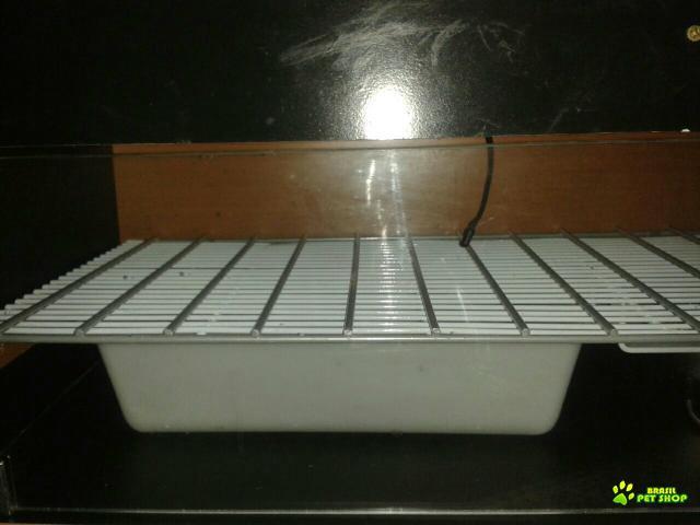 Chocadeira Automática