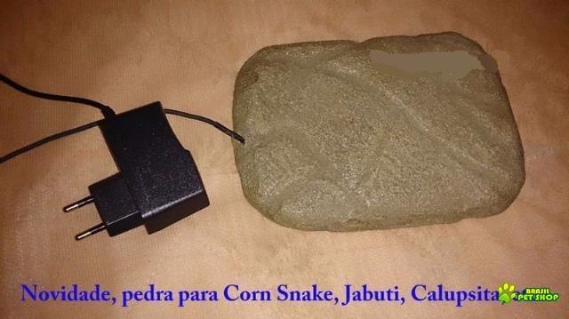 Pedra Aquecida Para  Filhotes Répteis