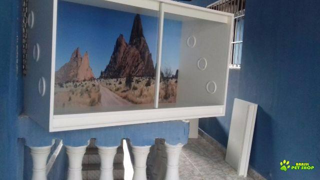 Terrario Para Repteis