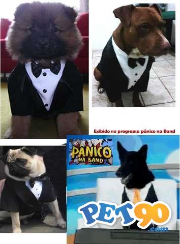 Smoking S/calça - Terno - Paletó