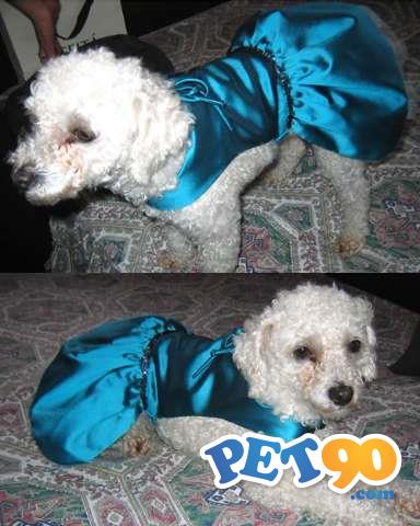 Smoking S/calça - Terno - Paletó