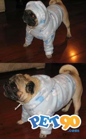 Smoking S/calça - Terno - Paletó