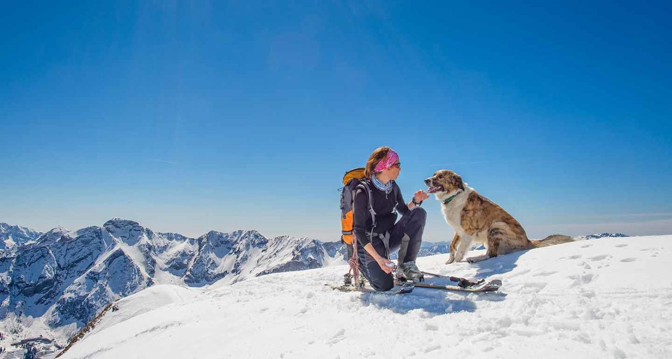 DogFriendly Ski Towns to Check Out This Winter