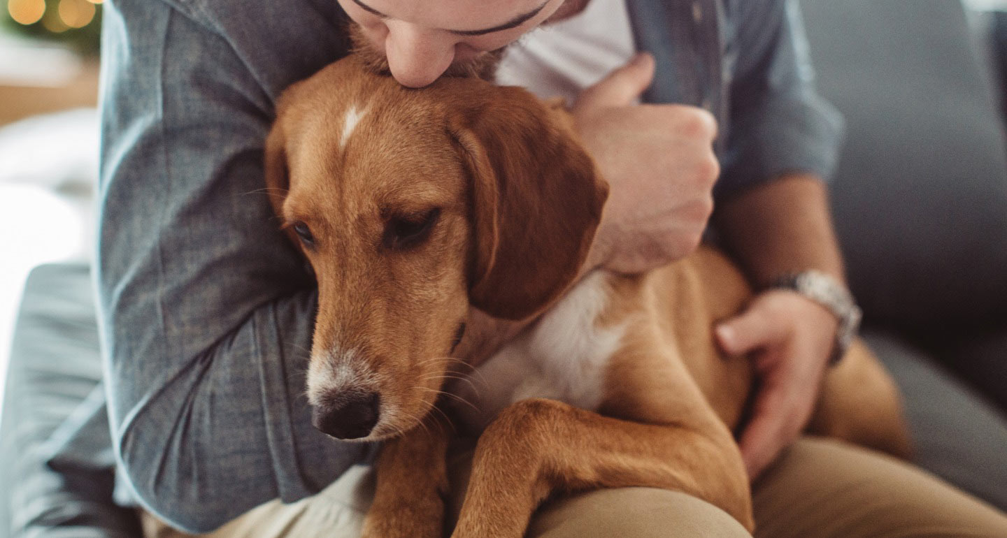 emotional support dog for cancer patients