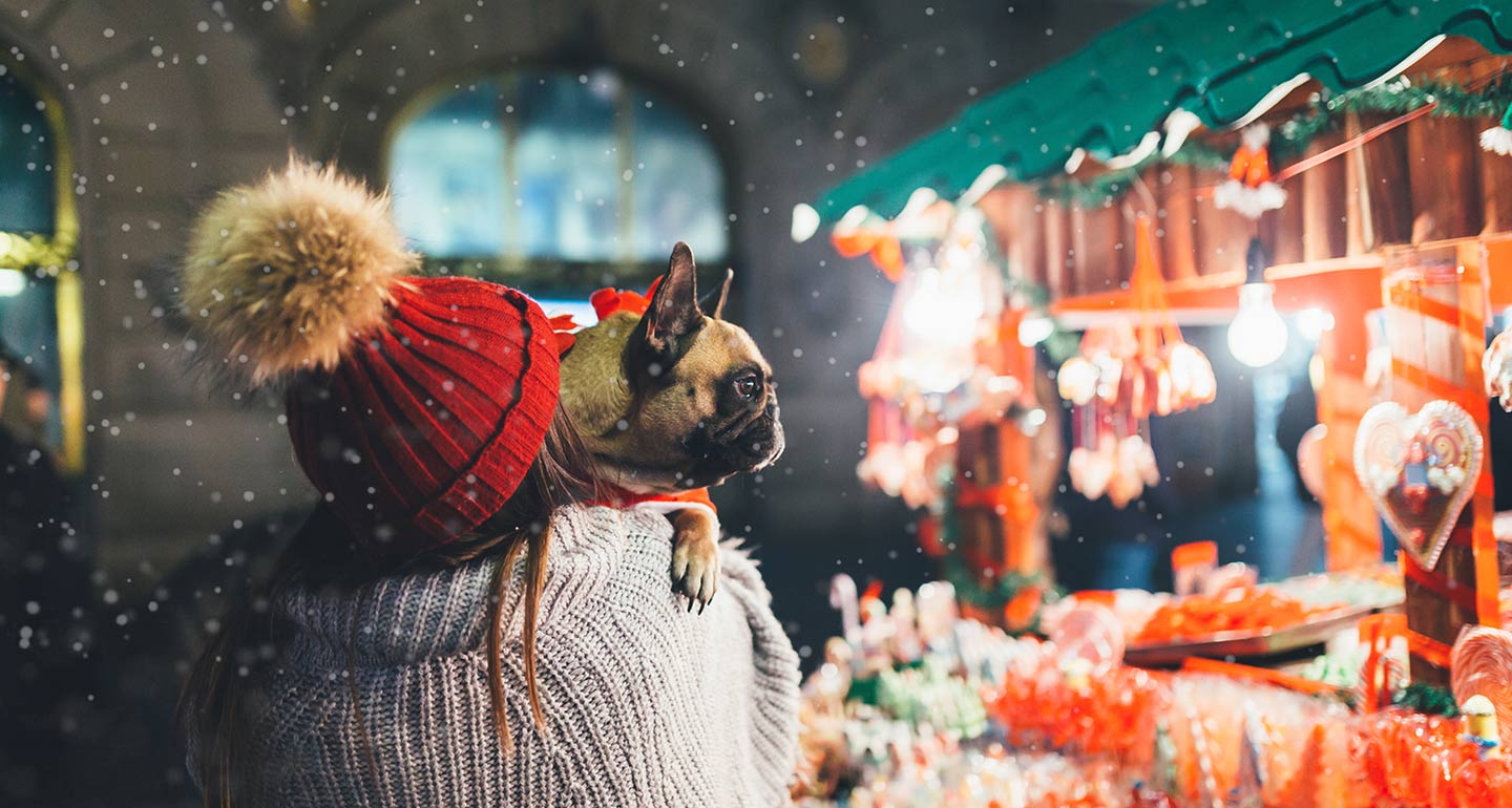 puppy's first Christmas