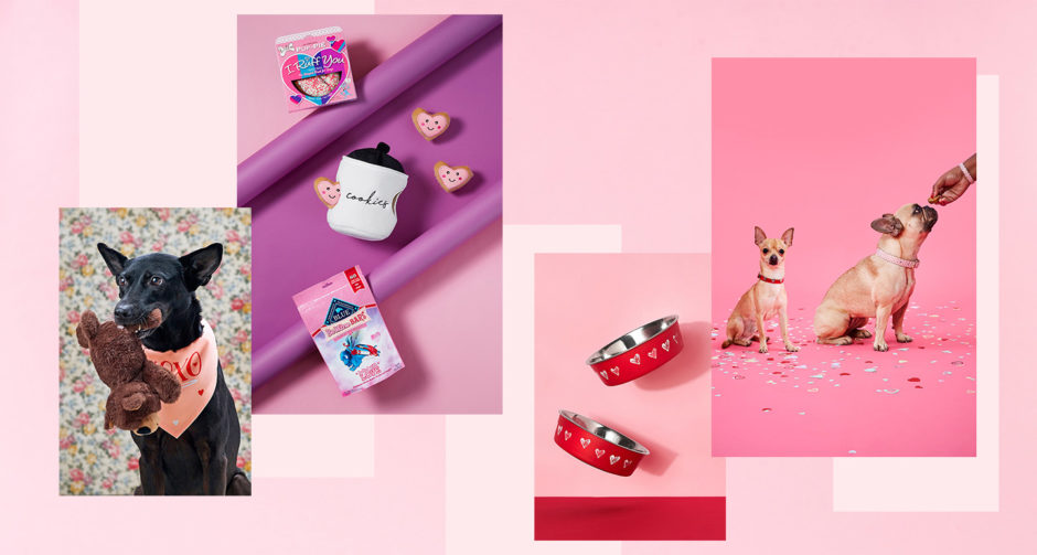 blue buffalo valentine's day treats