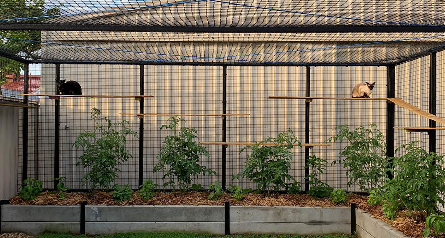 15 OverTheTop Catios Every Cat Dreams Of Pet Central by Chewy