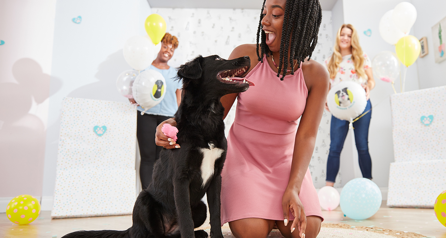 How to Throw a Dog Breed Reveal Party Pet Central by Chewy