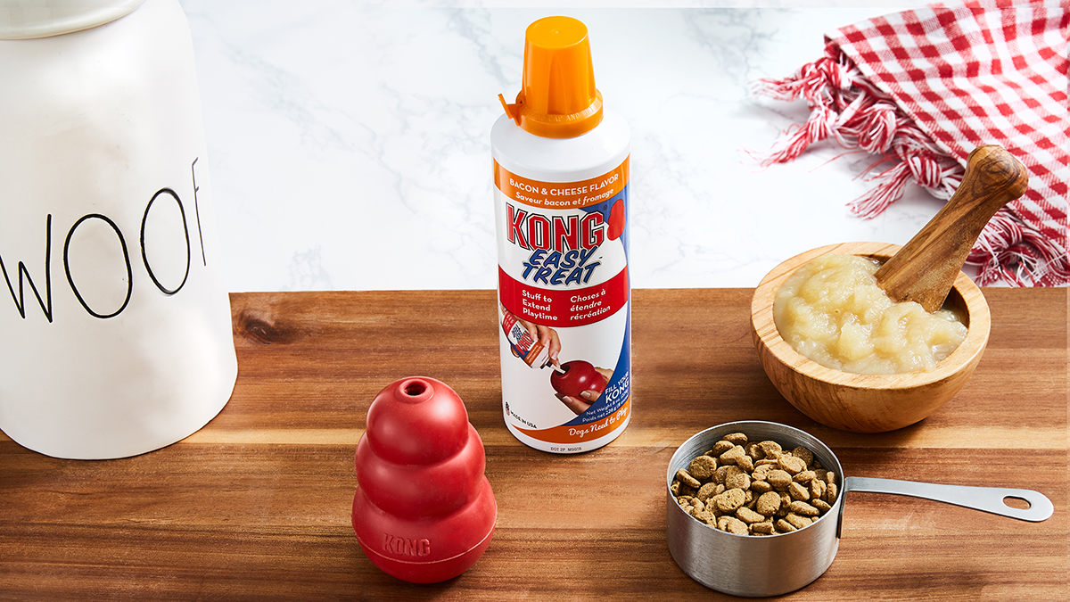 KONG Classic Dog Treat Recipes