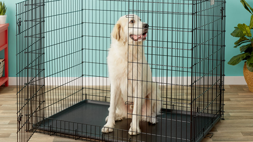 ExtraLarge Dog Crates for Large Breed Dogs