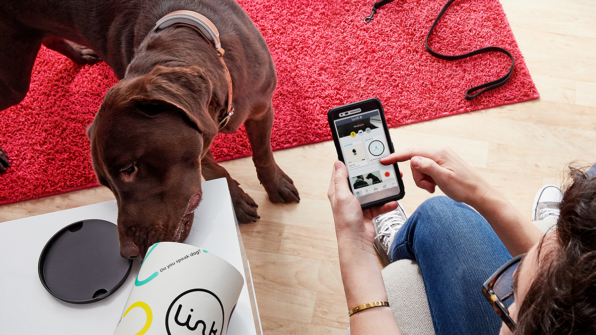 4 Uses for a Pet Tracker
