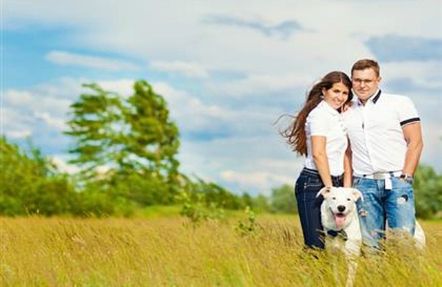 best dog breeds for working couples