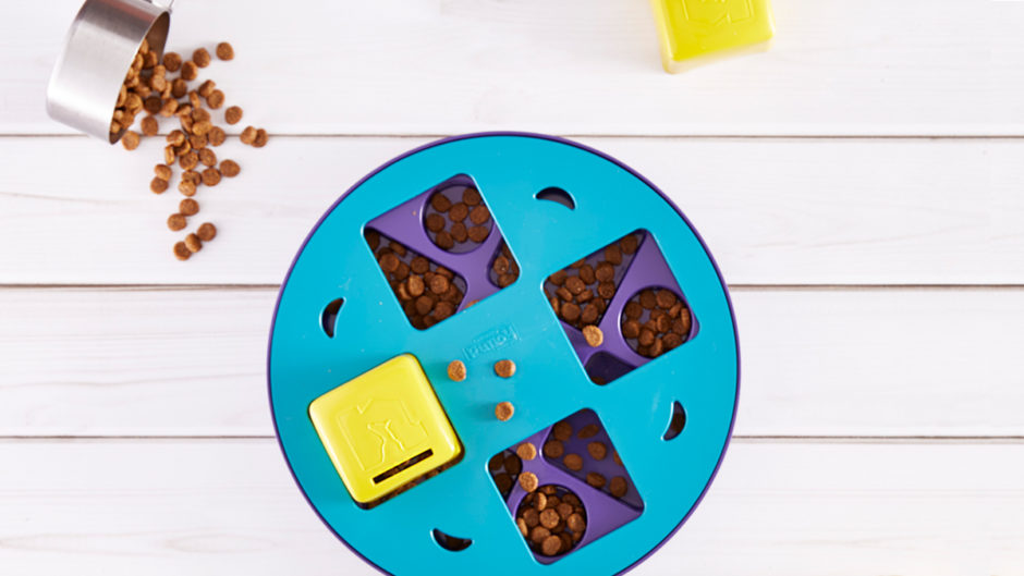 dog food puzzle games