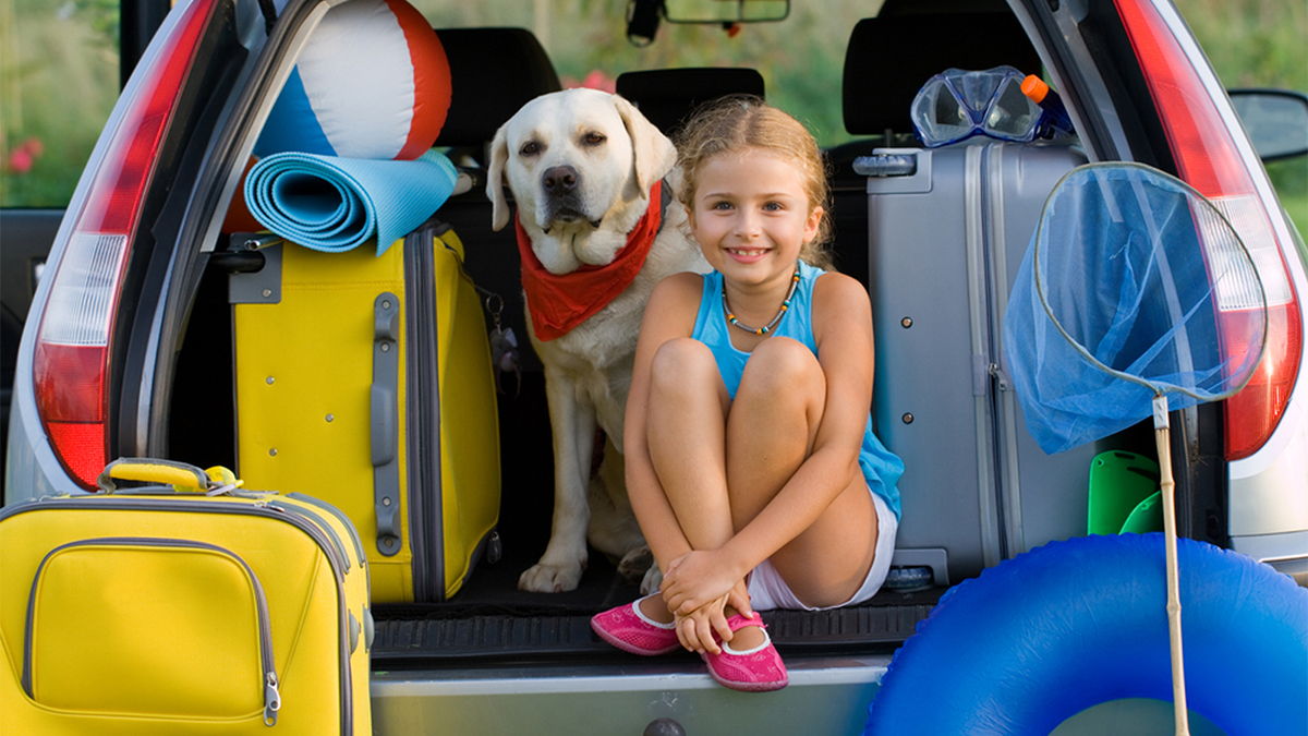 Feeding Tips When Traveling With Pets