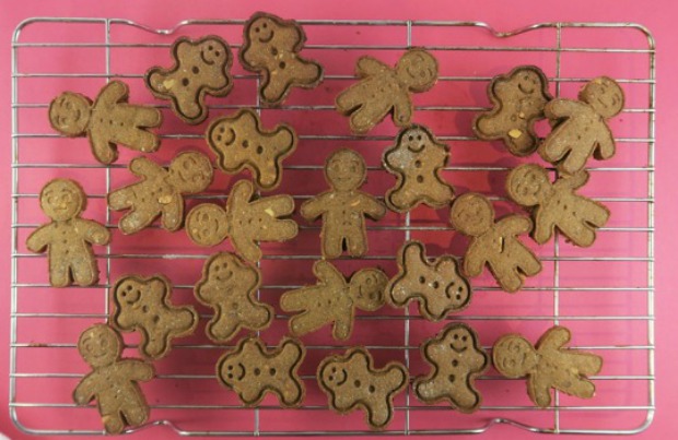 ginger cookies for dogs