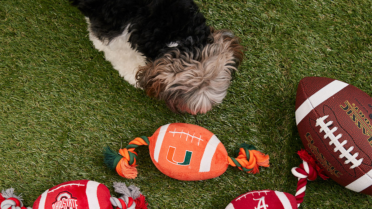 A Guide to Safe Dog Toys