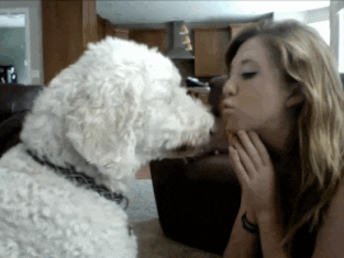 Dog mom