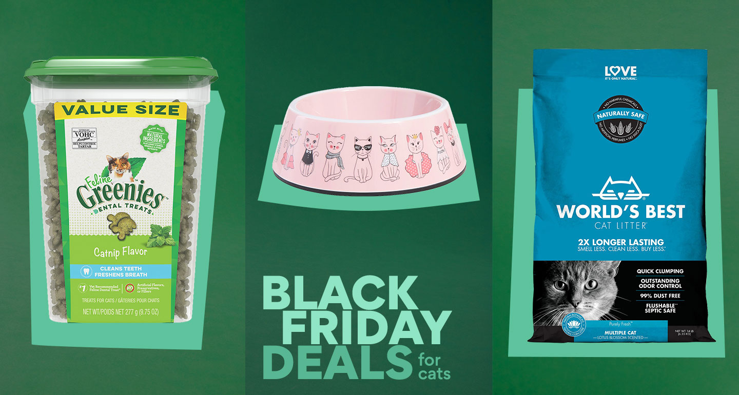 Black Friday 2020 The Best Chewy Black Friday Deals on Cat Supplies