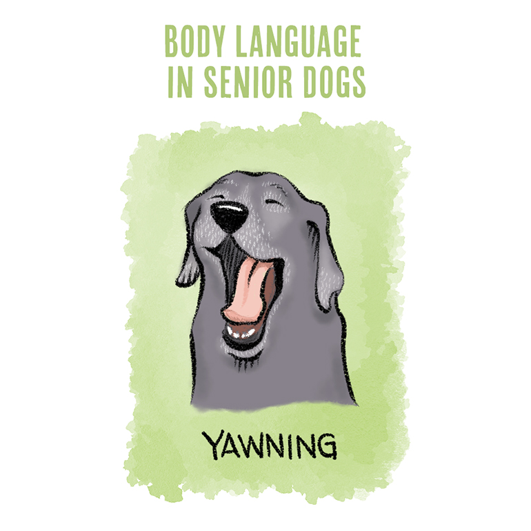 Understanding Dog Body Language