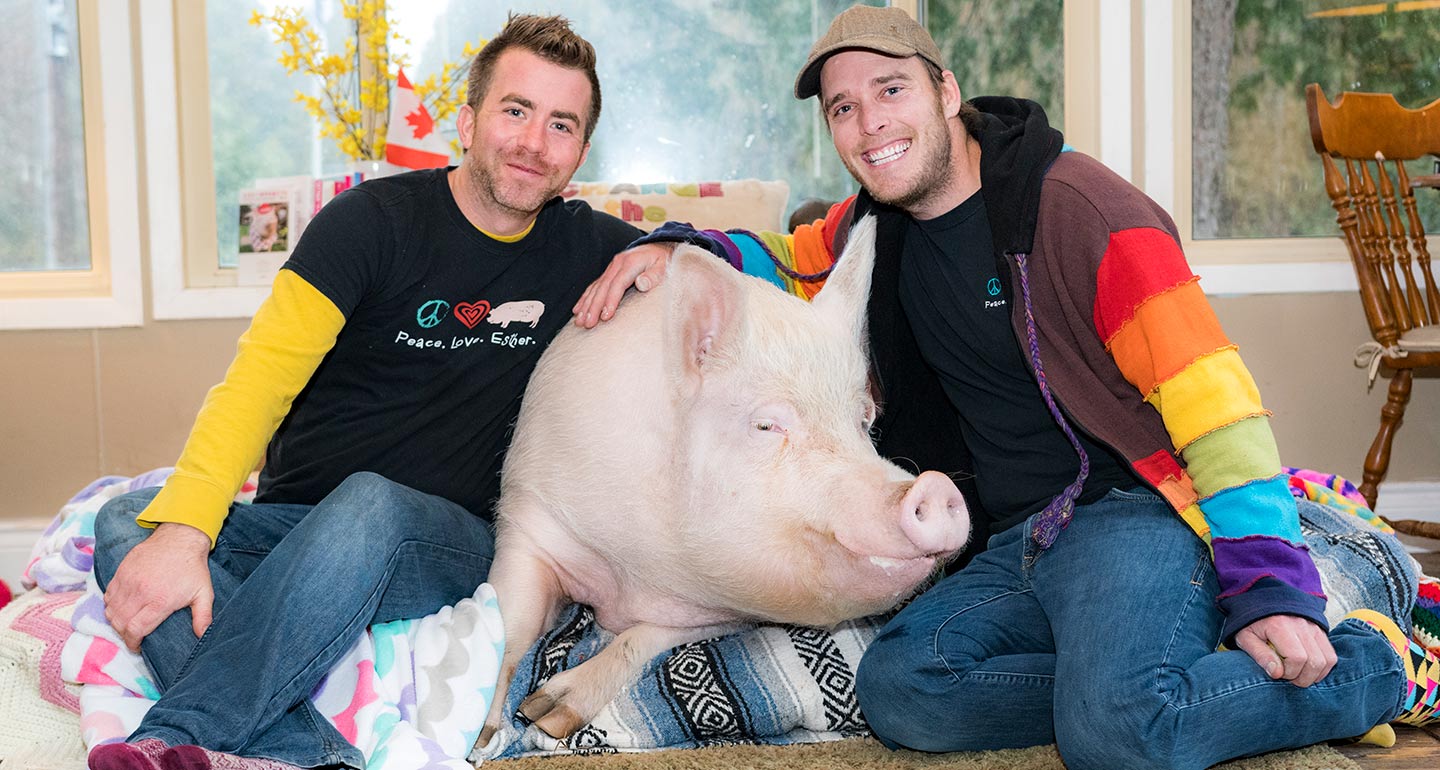 The LargerThanLife Story of How Esther the Wonder Pig Inspired a Farm