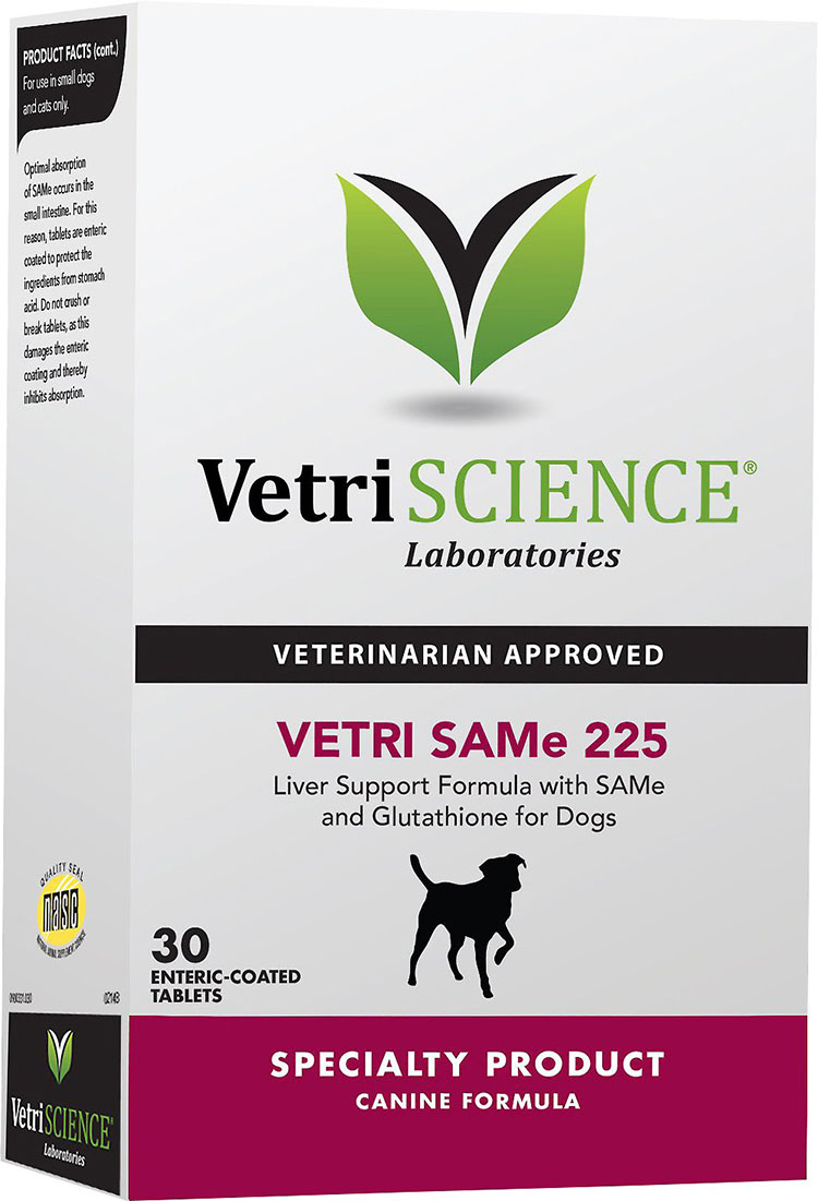 Liver Supplements for Dogs Benefits and Dosage Pet Central by Chewy