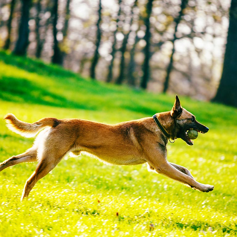 Full width image
