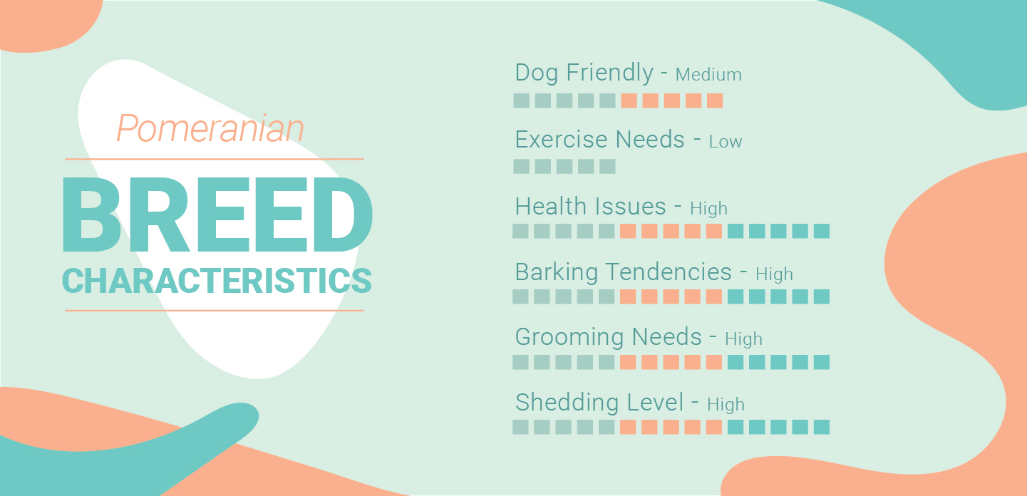 Pomeranian Characteristics