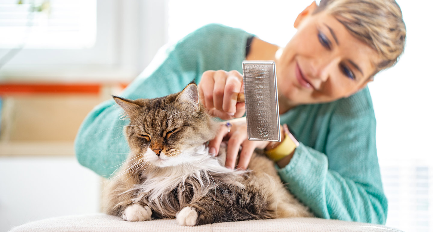 Cat Adoption Checklist